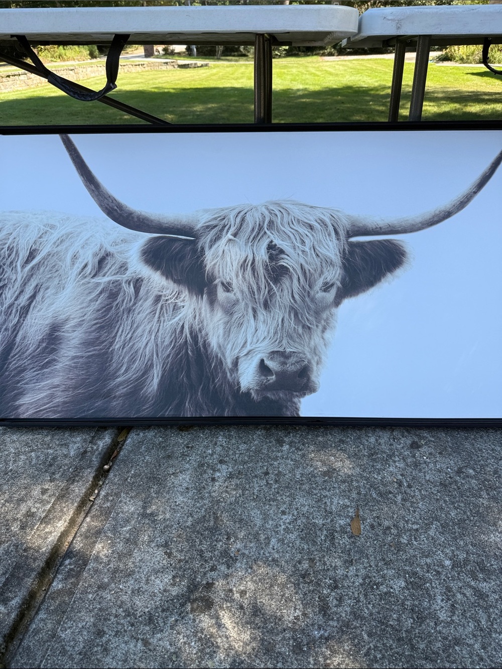 Framed Highland Cow Wall Art Print - Neutral Tones